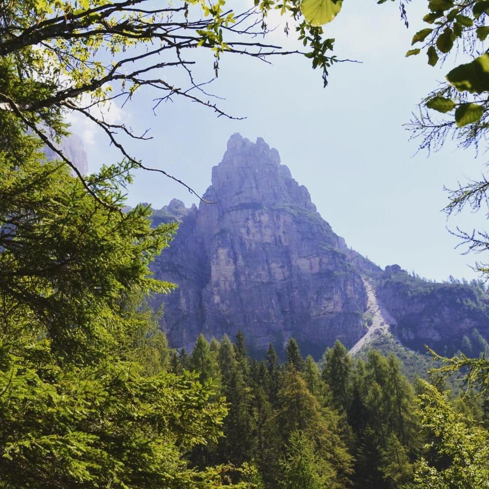 アッレゲMountainアパートメント 部屋 写真